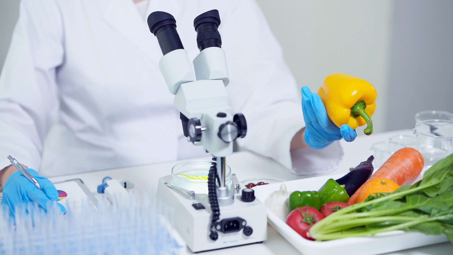 Seriöse Ernährungswissenschaft erkennen